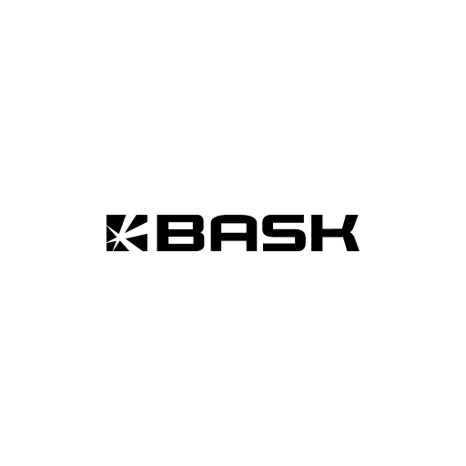 Логотип BASK